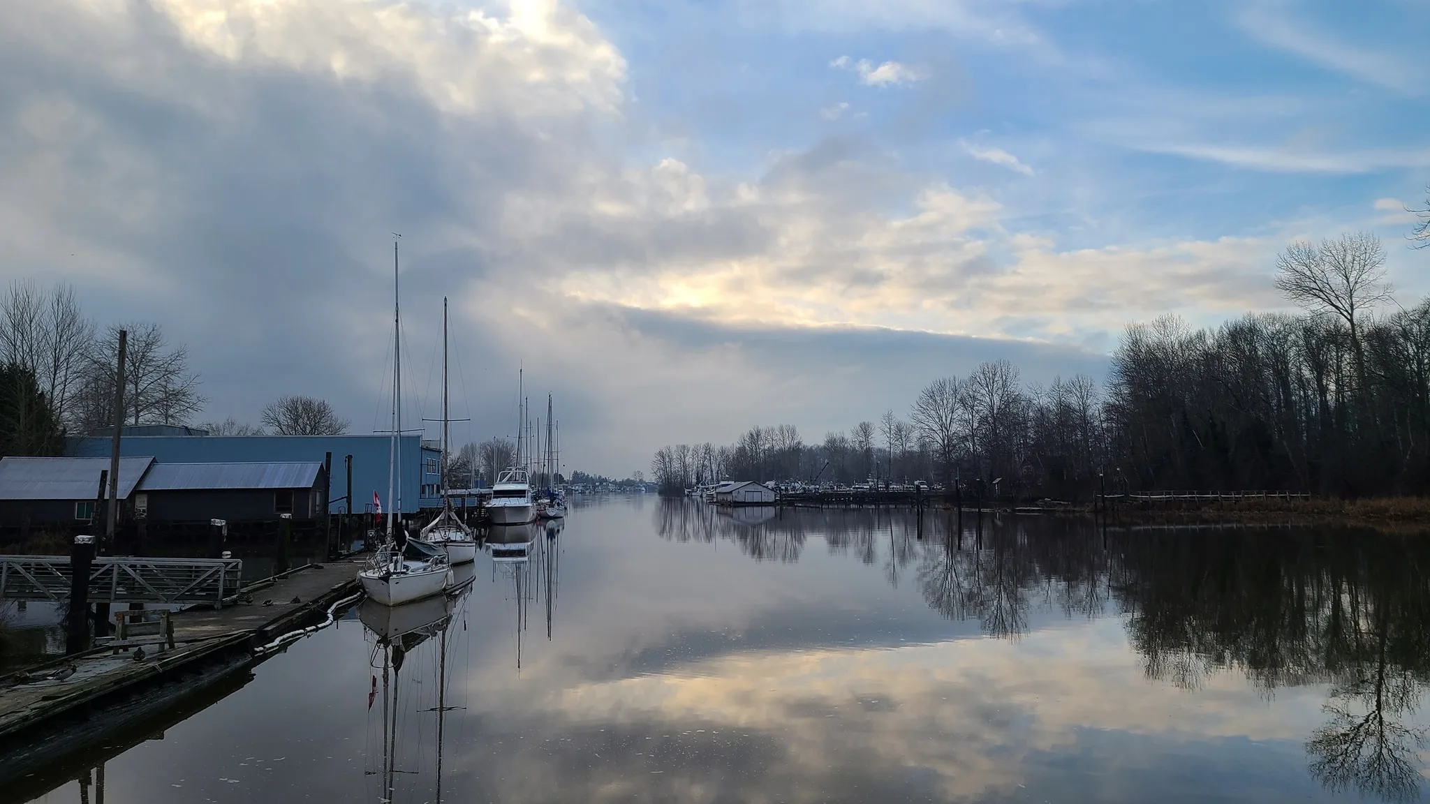 Boats and trees reflected on calm water near a local marina